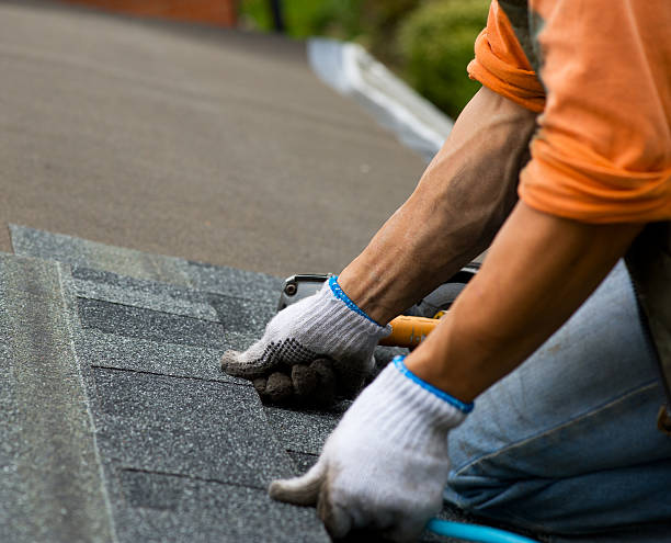 Best Storm Damage Roof Repair  in Newport, SC