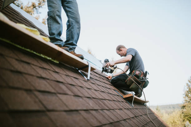 Trusted Newport, SC Roofing Contractor Experts
